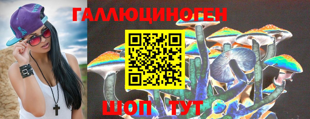 купить   Вход с VPN  Каспийск  Псилоцибиновые грибы мухоморы 